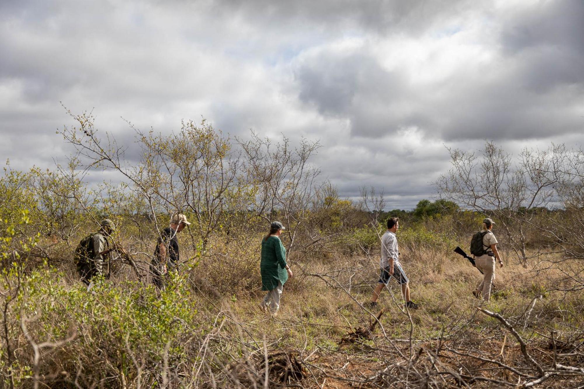 Africa On Foot Reserva Natural Privada de Klaserie