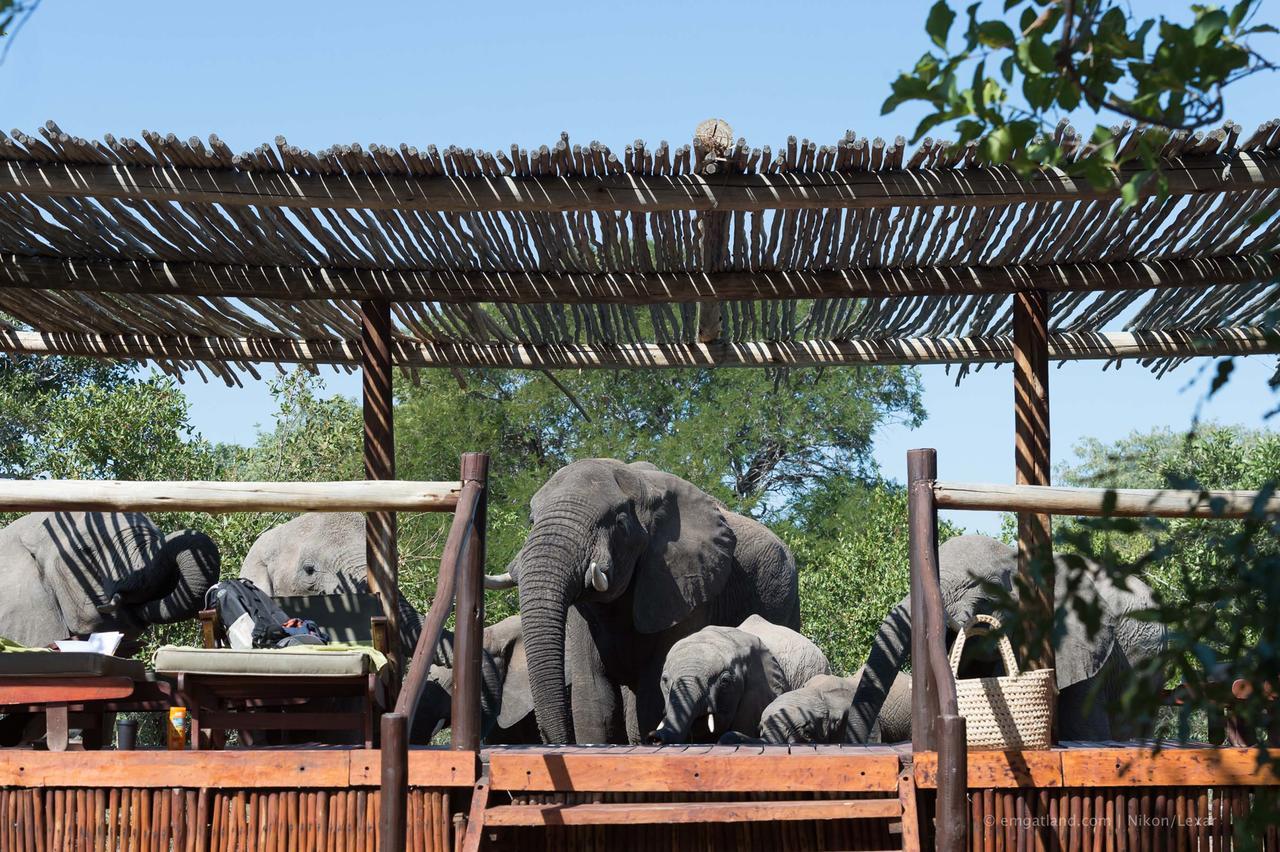 Alojamento de Turismo Selvagem Africa On Foot